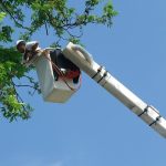 How Can I Safely Remove Hazards from My Property?