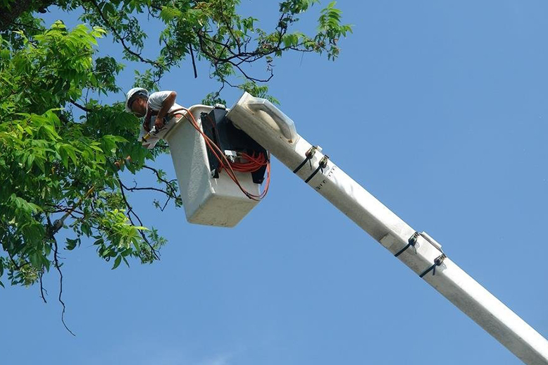 How Can I Safely Remove Hazards from My Property?